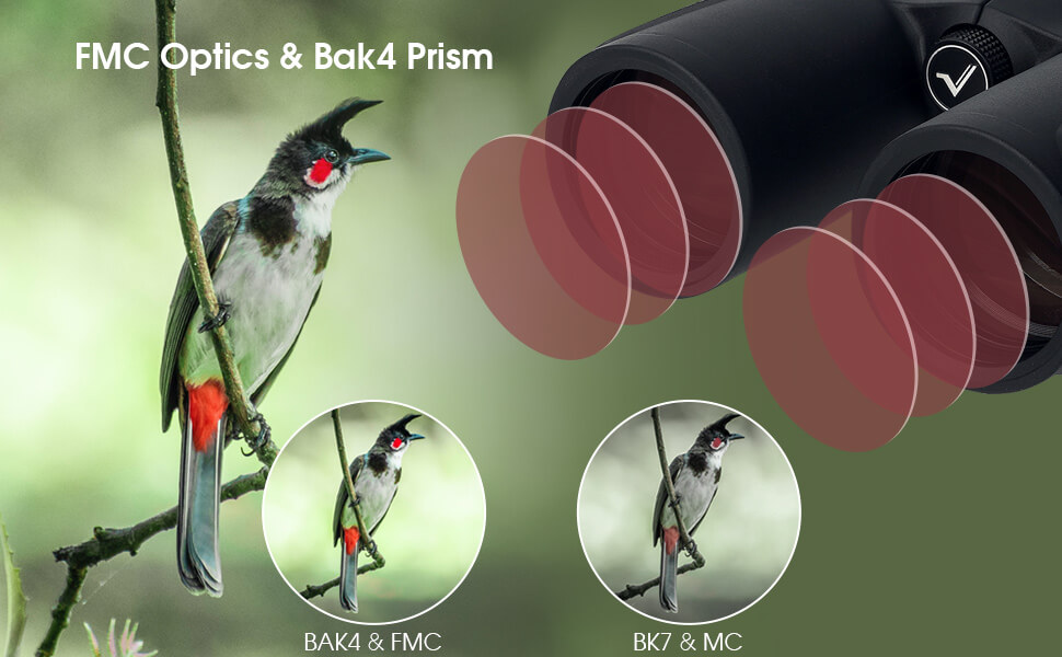 SVBONY SV202 ED Binocular Waterproof Bak4 Prism for Birding