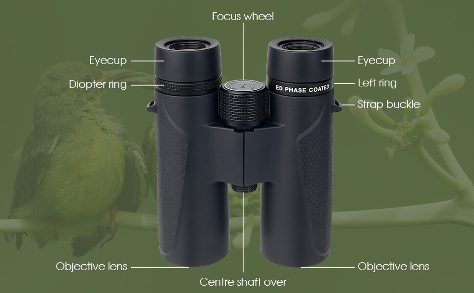 SVBONY SV202 ED Binocular Waterproof Bak4 Prism for Birding