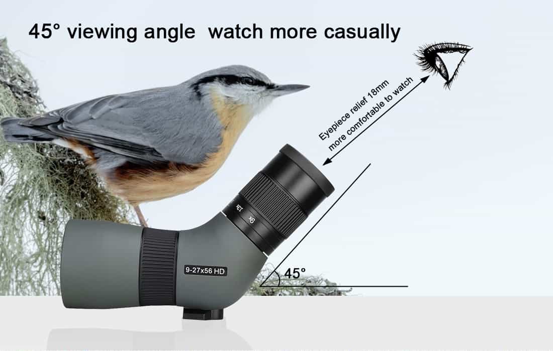 5.jpg 5.jpg