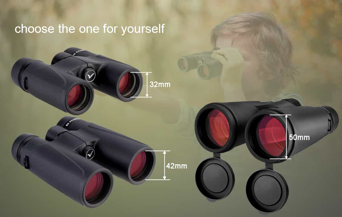 SVBONY SV202 ED Binocular for Birding.jpg