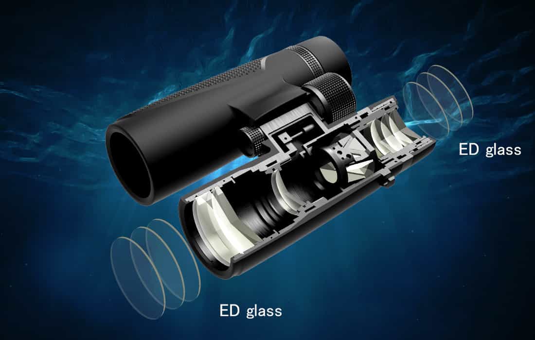 SVBONY SV202 ED Binocular for Birding.jpg