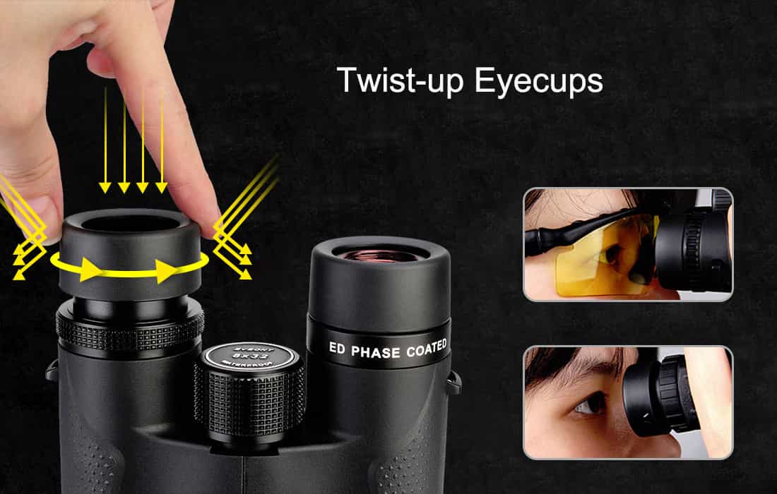 SVBONY SV202 ED Binocular for Birding.jpg