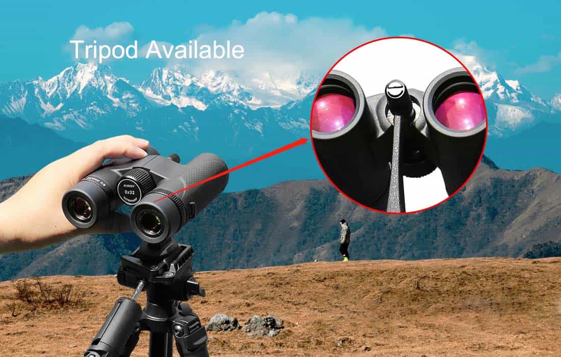 SVBONY SV202 ED Binocular for Birding.jpg