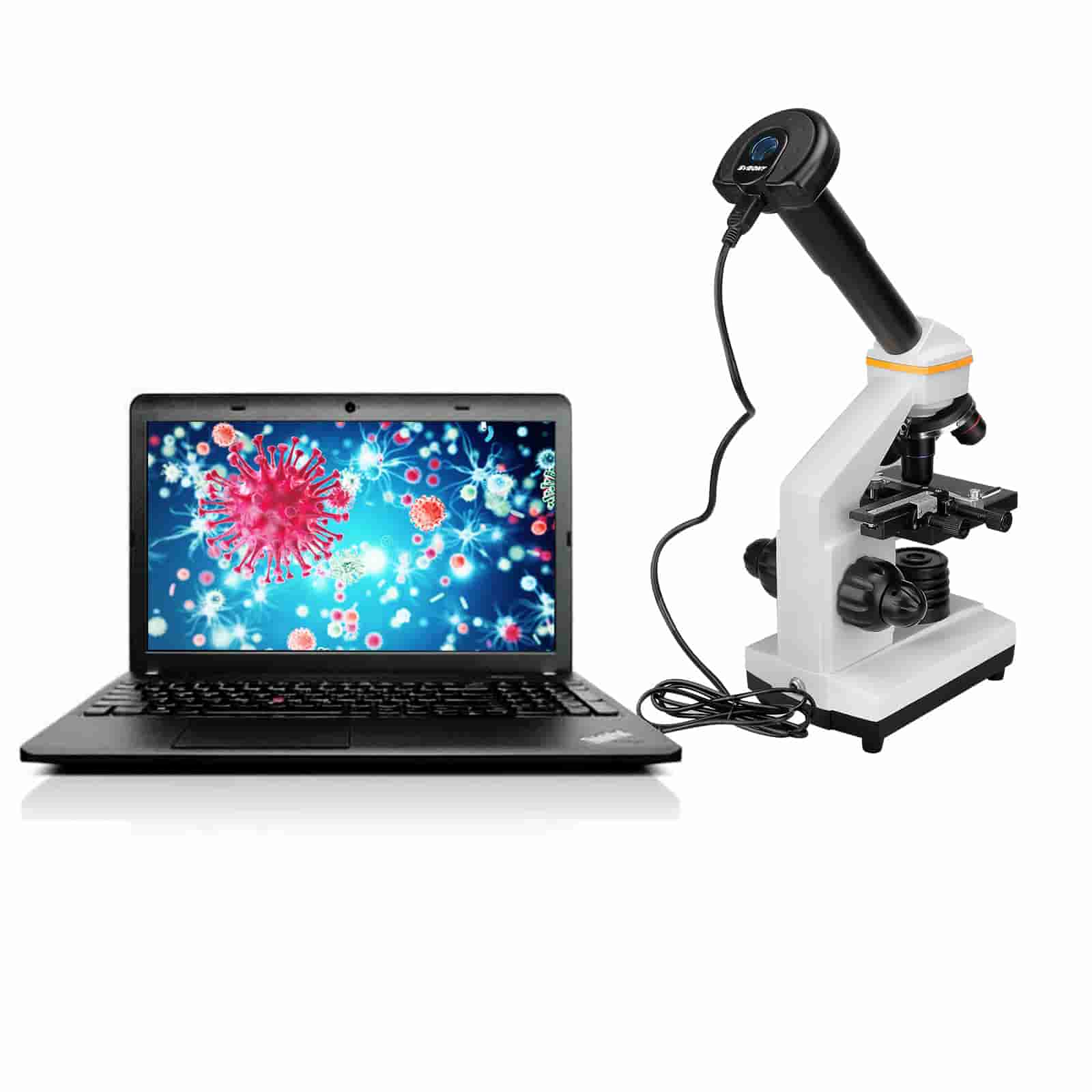 6376168272929492174168983_compressed.jpg 6376168272929492174168983_compressed.jpg