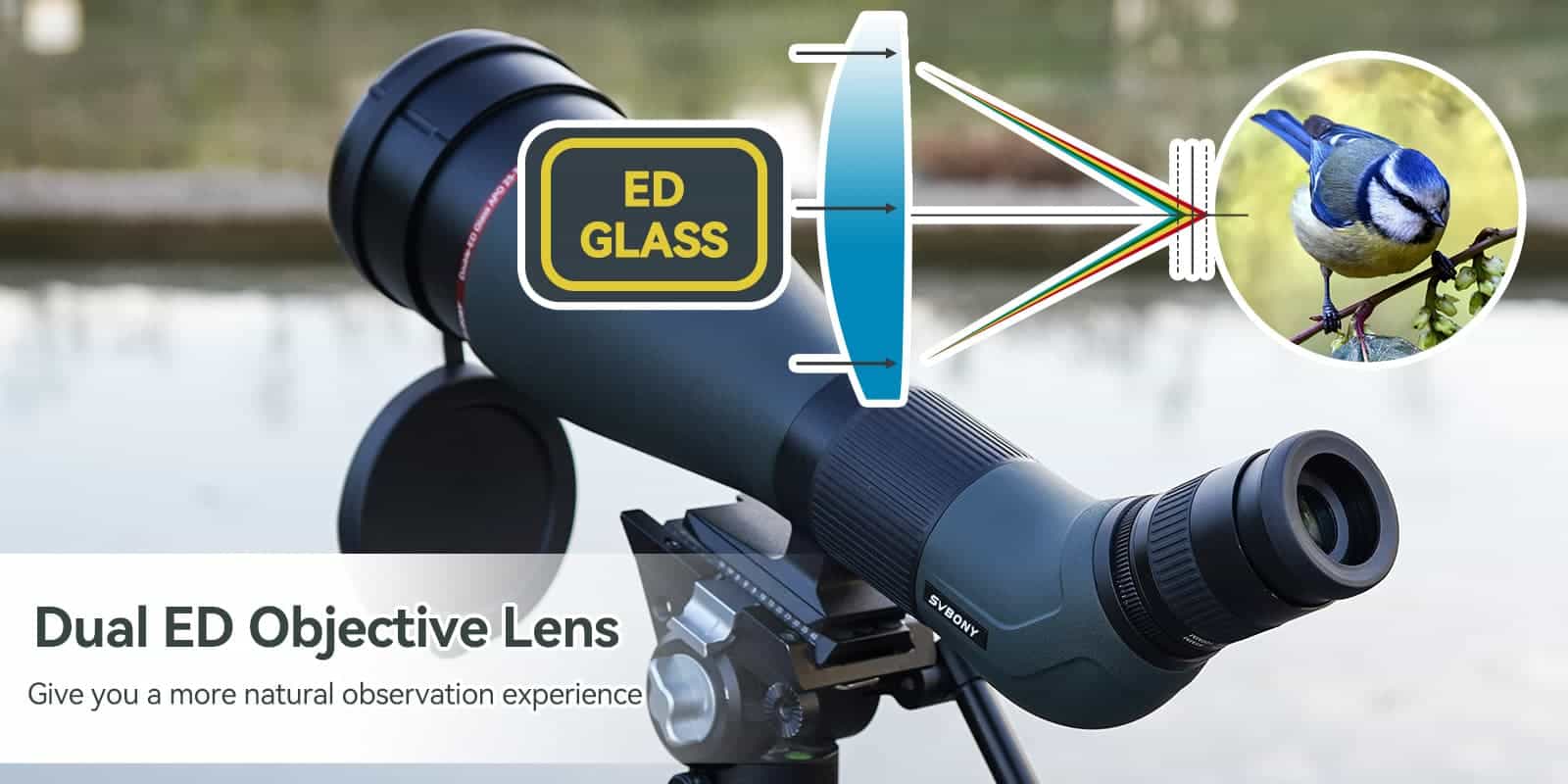 SA401 APO Apochromatic 25-75X100 Double ED Glasses Spotting Scope