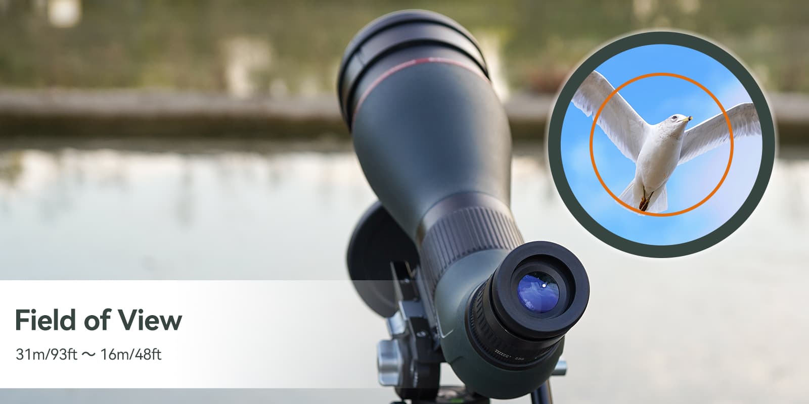 SA401 APO Apochromatic 25-75X100 Double ED Glasses Spotting Scope