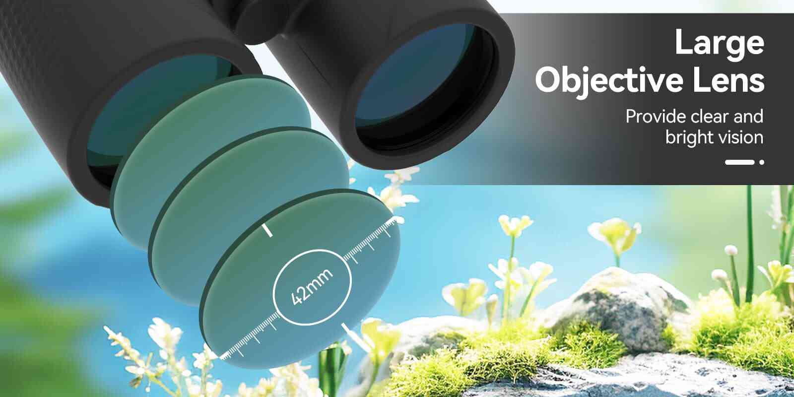 SA205 10x42 ED Flat-field Binoculars BaK-4 Prism.jpg SA205 10x42 ED Flat-field Binoculars BaK-4 Prism.jpg