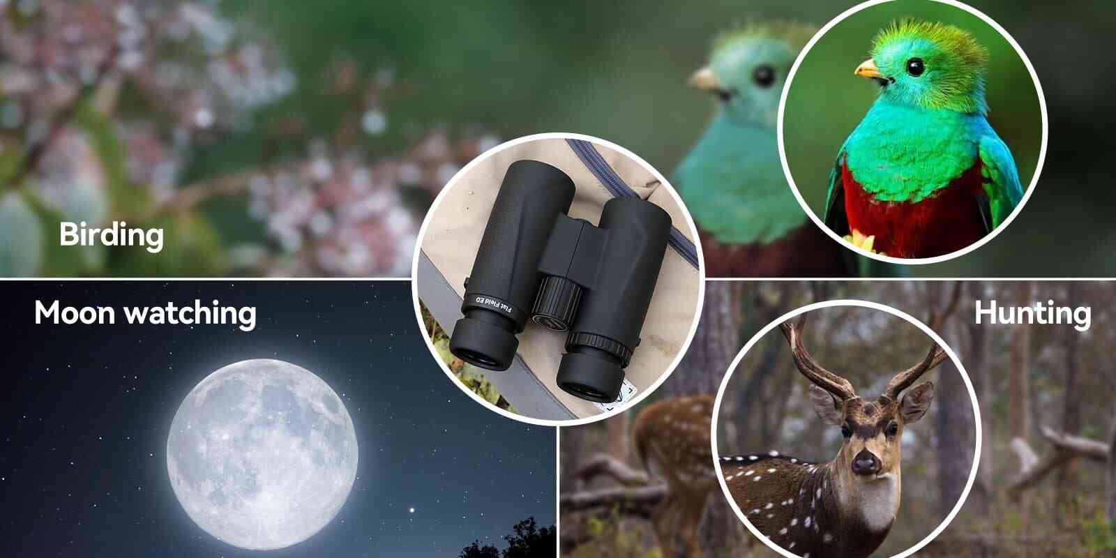 SA205 10x42 ED Flat-field Binoculars BaK-4 Prism.jpg SA205 10x42 ED Flat-field Binoculars BaK-4 Prism.jpg