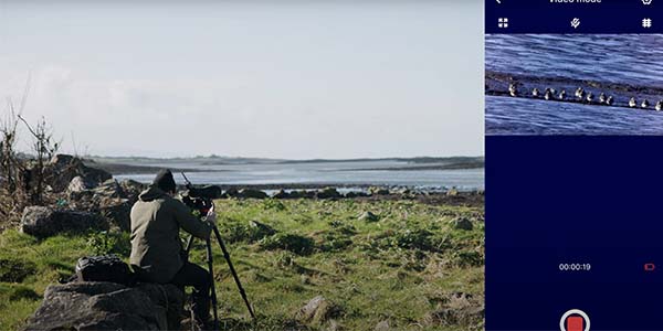 sa401-scope-nature-capture.jpg
