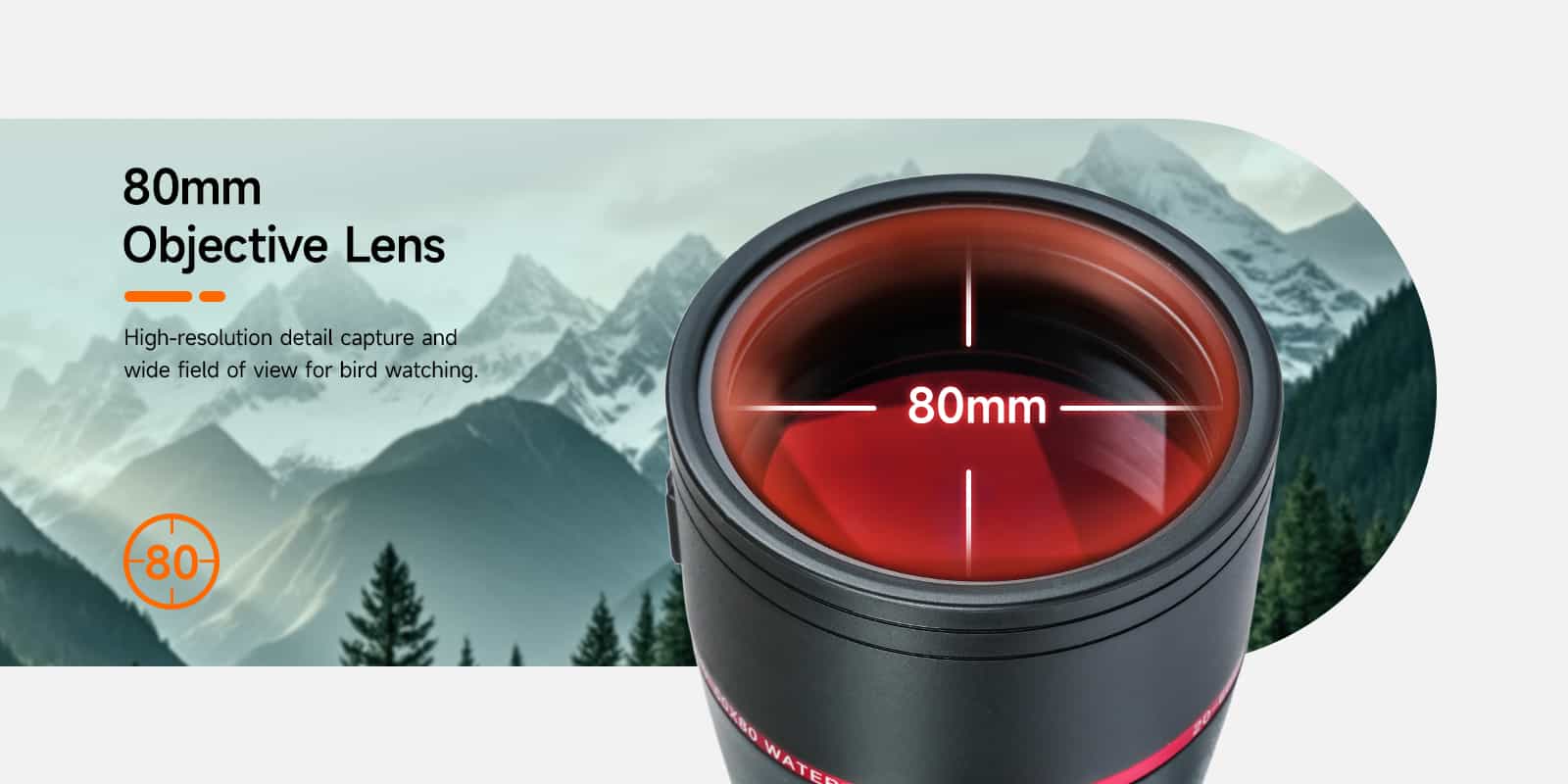 SV406 objective lens