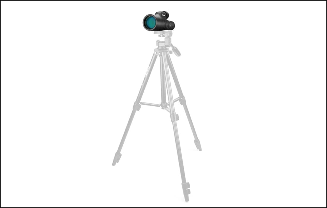 5.jpg 5.jpg
